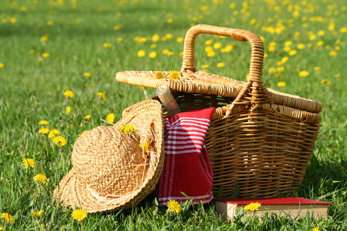 9 июля состоится самый летний пикник «Семья в большом городе» в Саду им. Н. Э. Баумана.