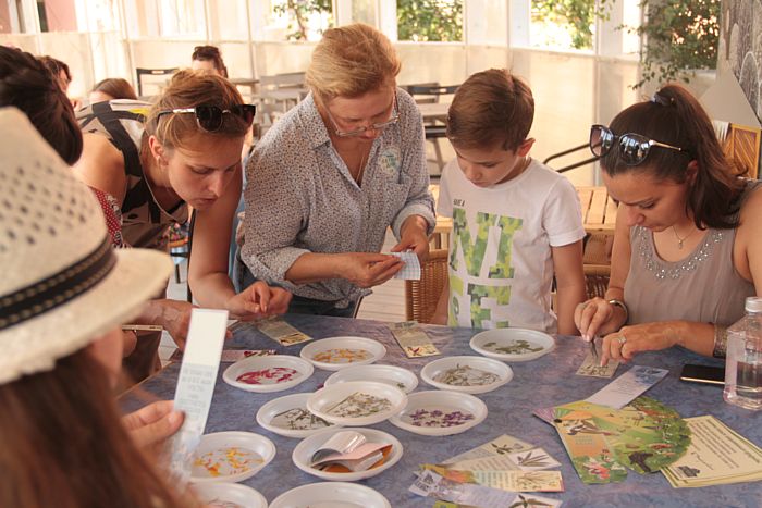 В субботу, пройдет литературно-экологический фестиваль «Летние дни» от Музея К. Г. Паустовского.