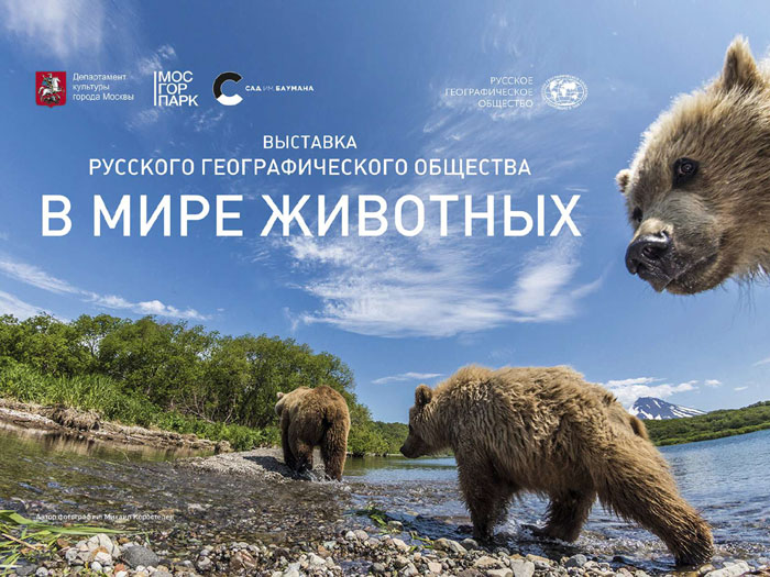 Фотовыставка Русского географического общества «В мире животных»